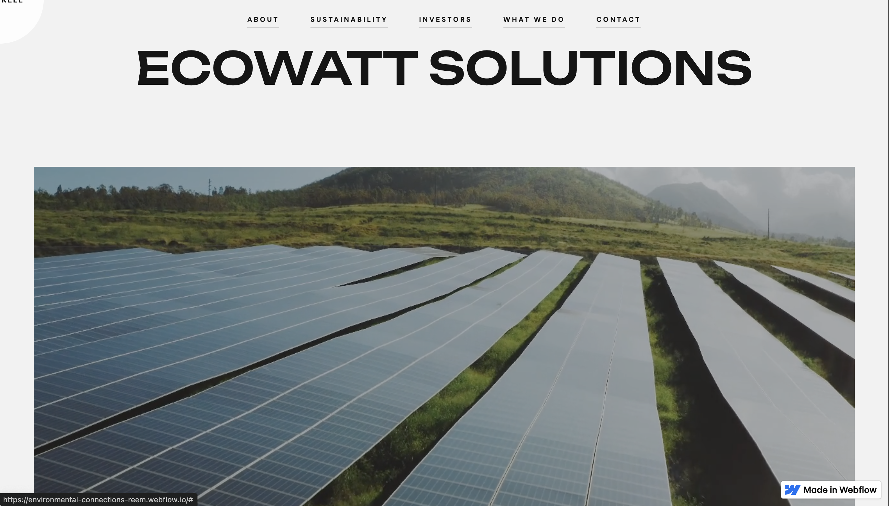 EcoWatt
